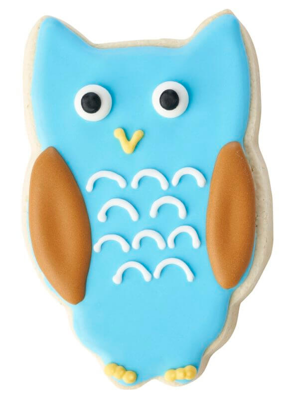 Welcome Little One Owl Decorated Cookie Bouquet