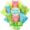 Welcome Little One Owl Decorated Cookie Bouquet