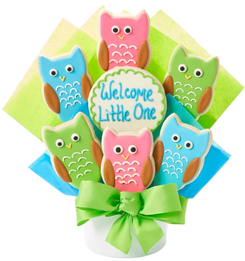 Welcome Little One Owl Decorated Cookie Bouquet