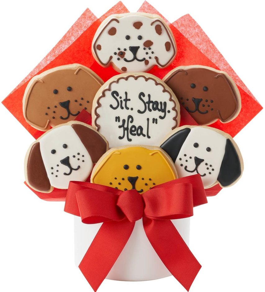 Heal Dog Cutout Cookie Bouquet