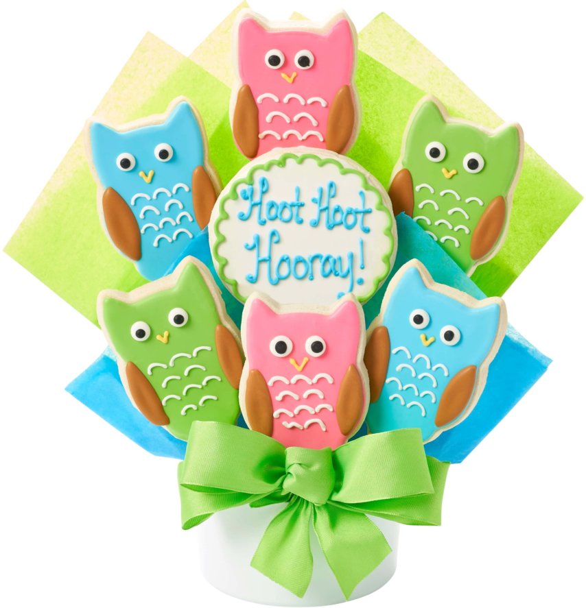 Hooray Owl Cutout Cookie Bouquet